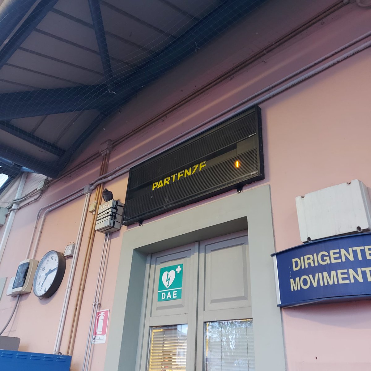 Francesca Frediani tweet media