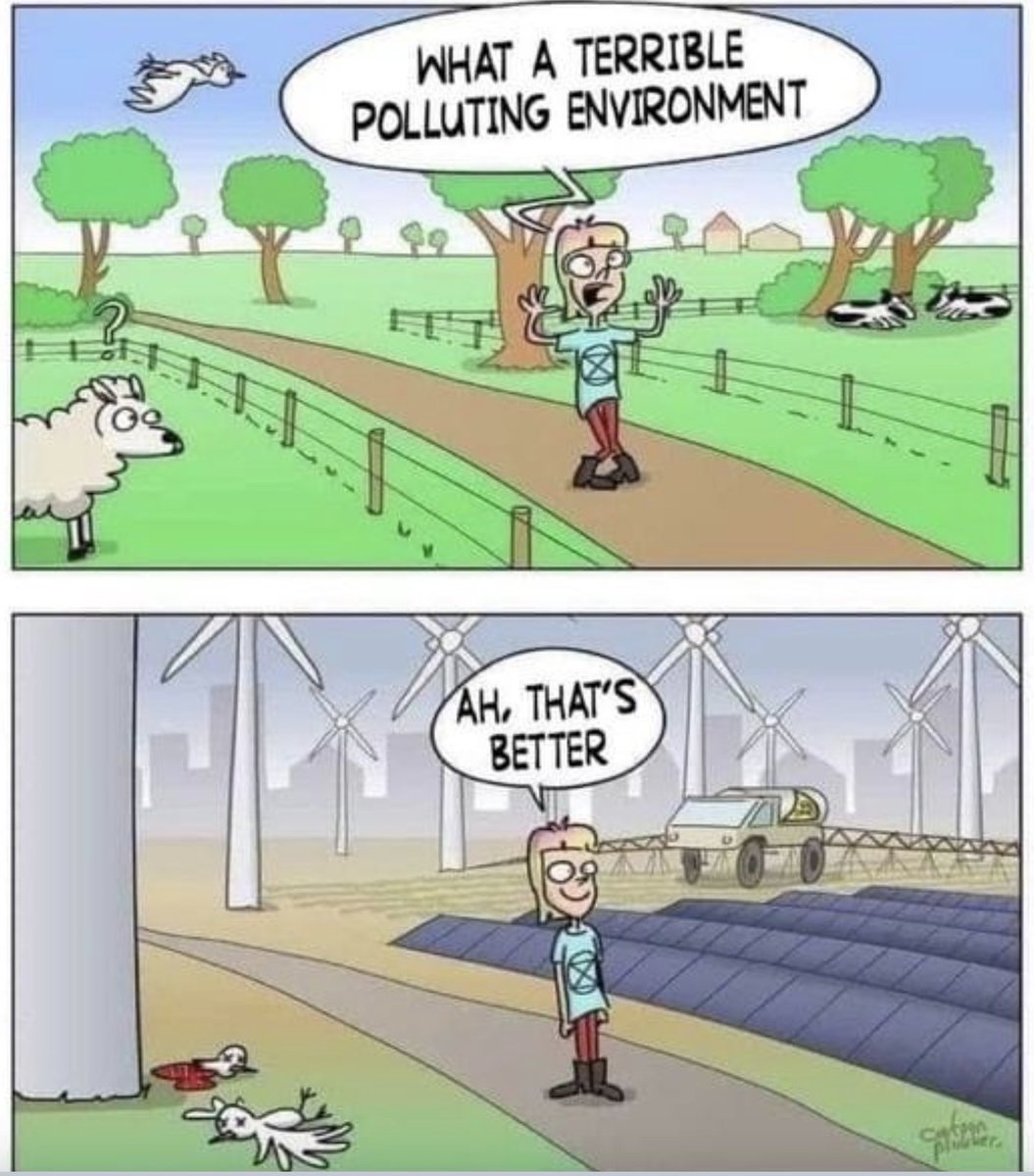 Today's 'Greens' are the least environmentally-friendly people on the planet. All of their 'solutions' to the non-existent 'Climate Emergency' involve massive damage to the environment.