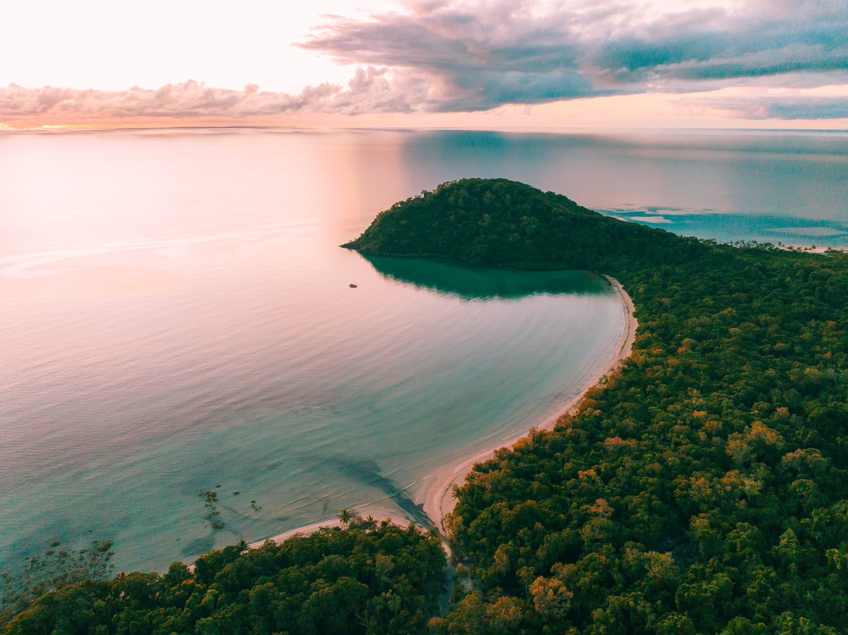 Cape Tribulation is ready to welcome you back! 🌴🩵