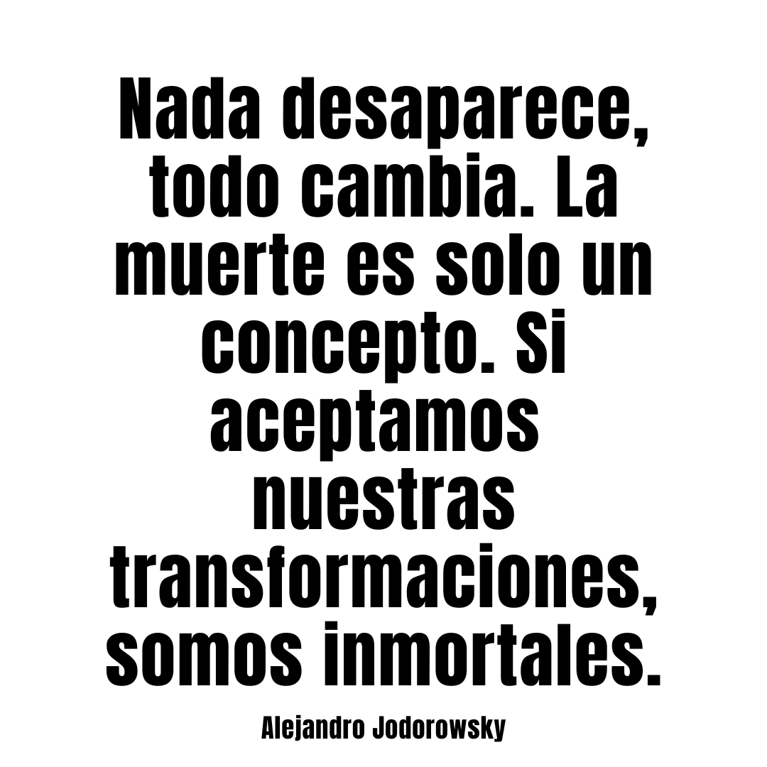 MI FRASE DEL DÍA: