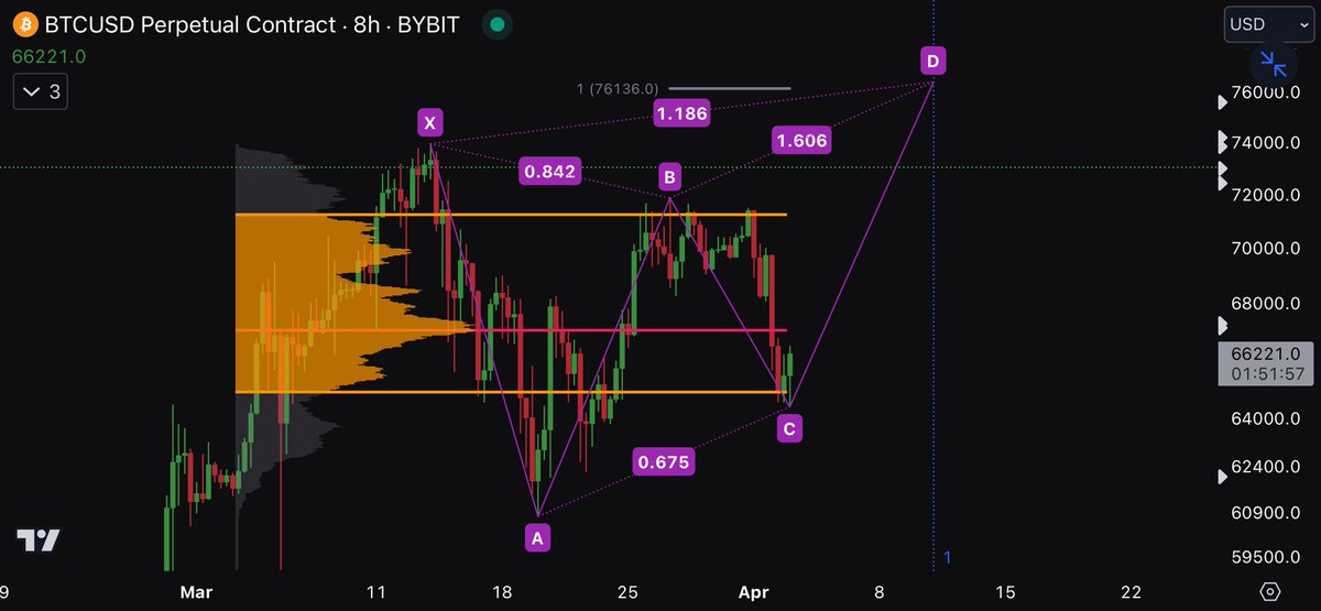 Butterfly in the making?