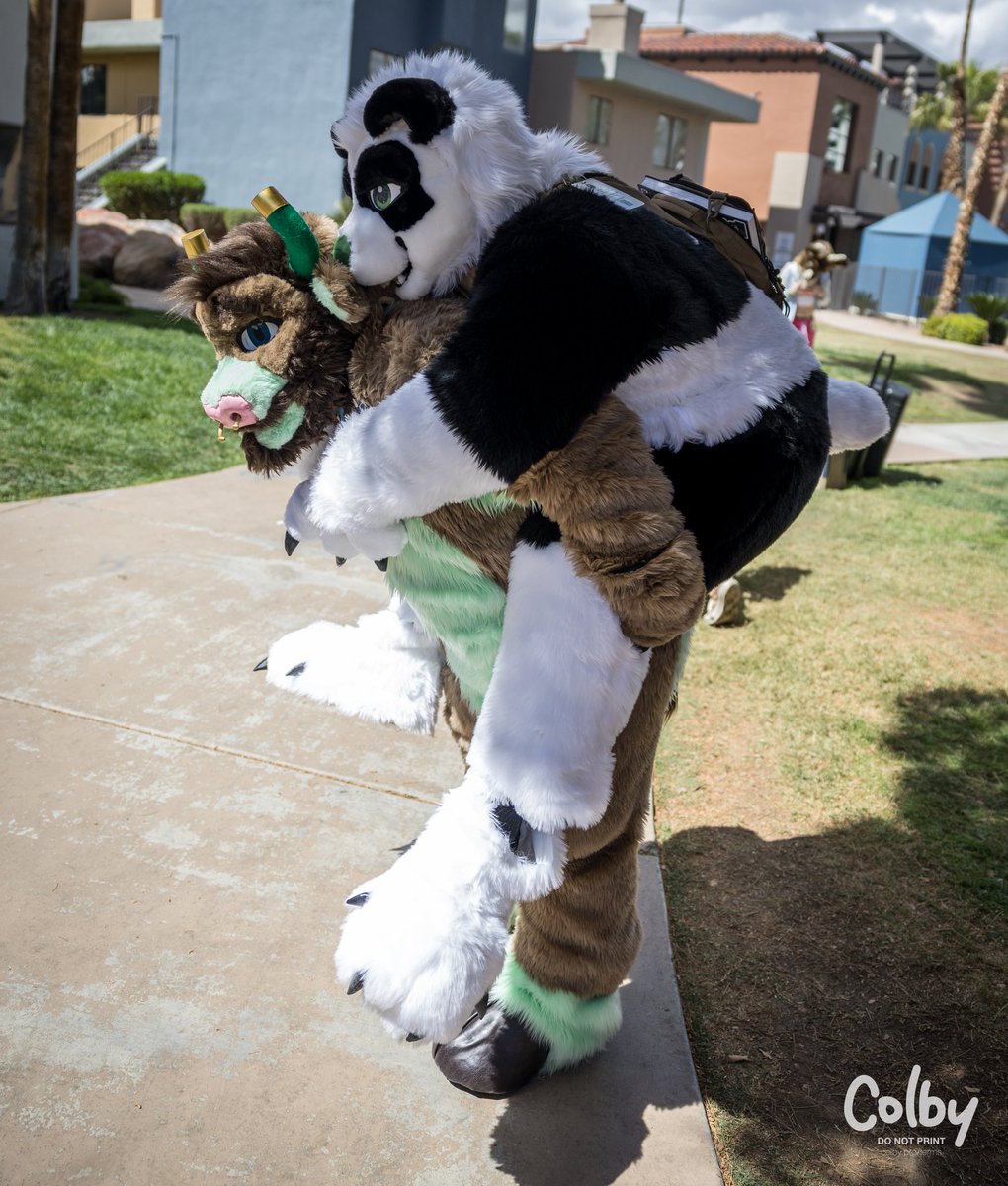 I was lucky to get to spend LVFC with a good friend of mine @Binpand ! Pandas like being carried from my experience. 📸 @colby_husky