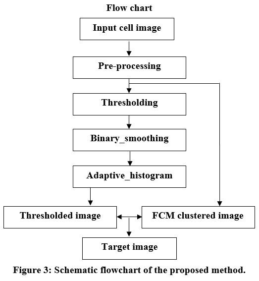 biomed_pharma's tweet image. bit.ly/42BsdCb - Read the Article here
Human Epithelial Cell Image Analysis and Segmentation using Threshold Based Fusion Technique
#Antinuclearantibody #Gaussianfilter #Imagefusion #Immuneﬂuorescent #Segmentation #Biomedical #Pharmacology