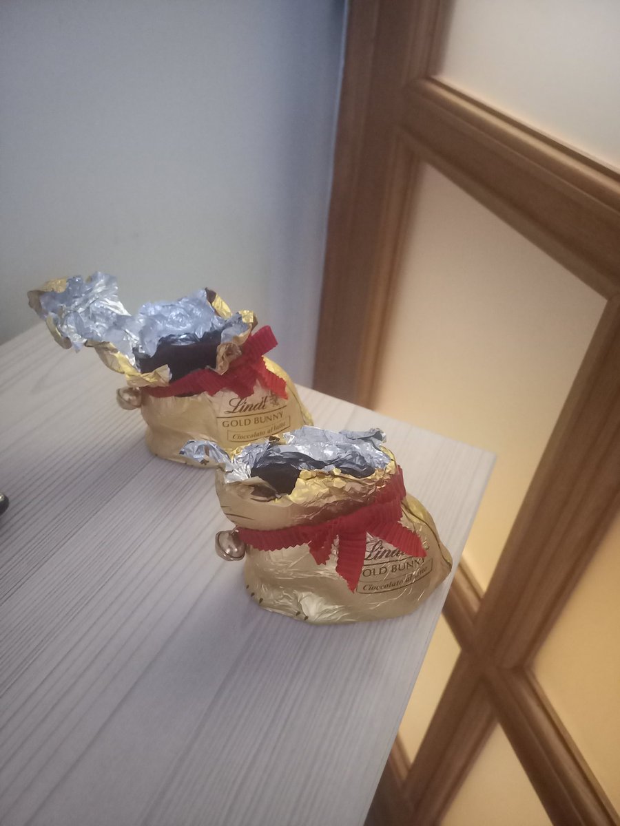 Police now has a hot trace in the 🇭🇺 Hungarian Embassy easter bunny massacre (Warning, graphic content)