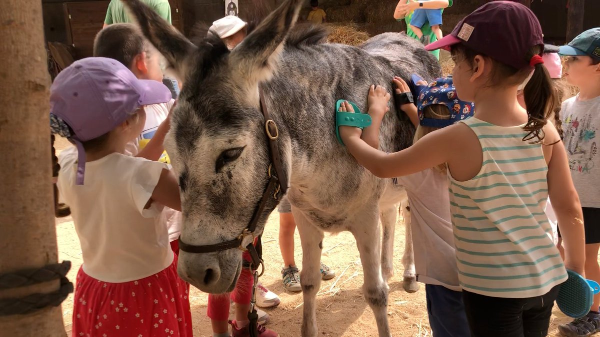 Vols NATURA + GRANJA + ANGLÈS? Ho tenim! #CasalHortus per a infants des d’i3 a 6è de Primària – a #Samalús, a tocar de #LaGarriga. Informa-te’n ara a 👉👉👉 happyenglish.cat/casals-d-estiu/ #CasalDEstiu #CambridgeSchoolOfficial #CasalEnAnglès #Catalunya #VallèsOriental #Estiu2024