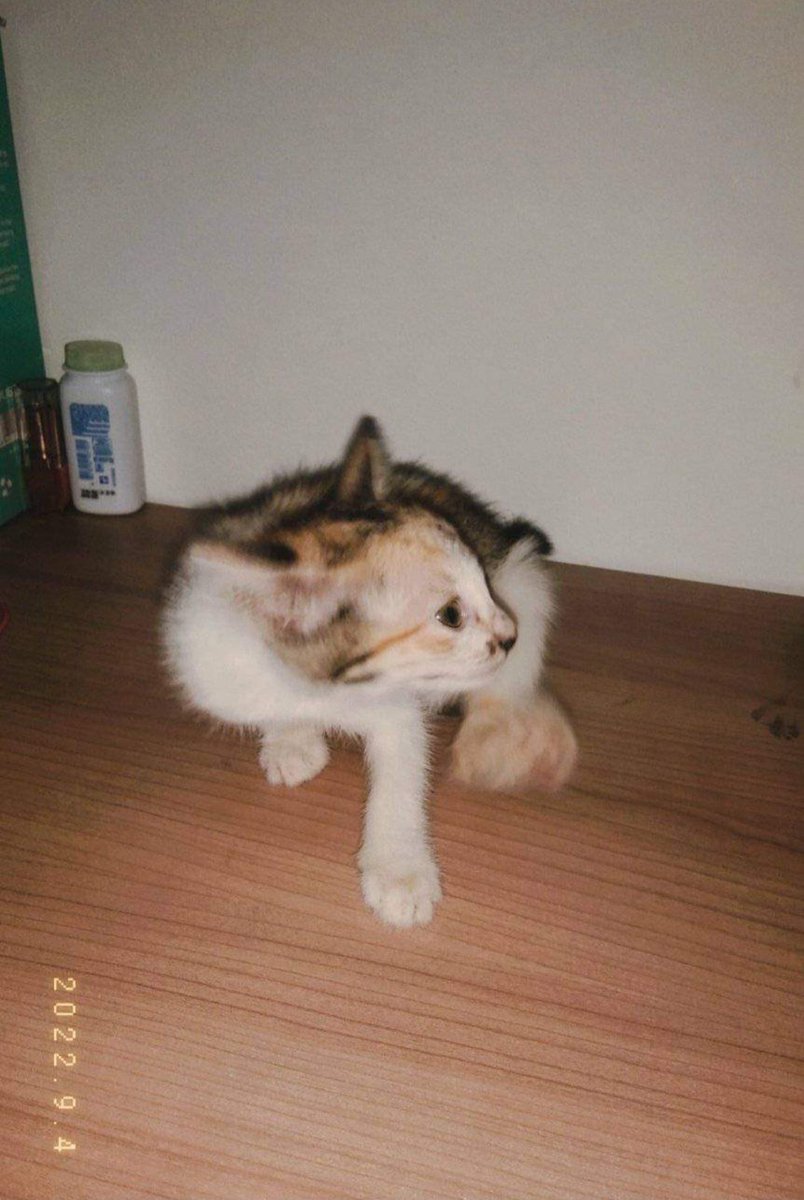 SpookyGory's tweet photo. I miss your kisses:< https://t.co/xPt0Td3seY