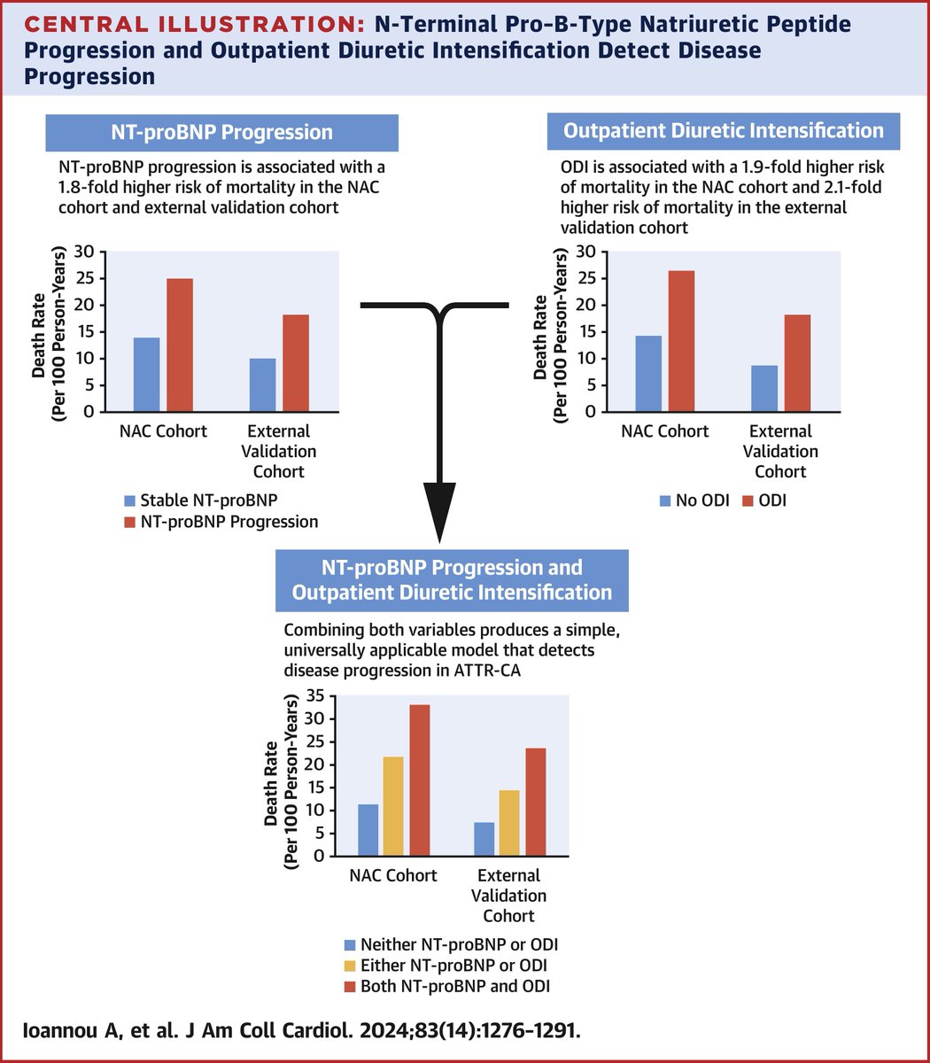 What is the prognostic importance of an increase in NT-proBNP and outpatient diuretic intensification as markers of disease progression in a cohort of patients with transthyretin cardiac amyloidosis? Read the journal scan for more: bit.ly/3VJKVWN