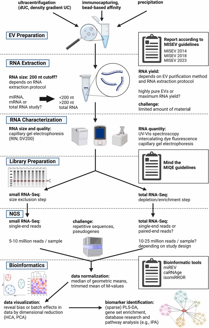 Mapping out the EV-transcriptomic workflow: in this review article, Christian G., Michael W. Pfaffl at @TU_Muenchen et al established a methodology for creating & analyzing transcriptomic biomarkers associated with EVs sciencedirect.com/science/articl…
#extracellularvesicles #liquidbiopsy
