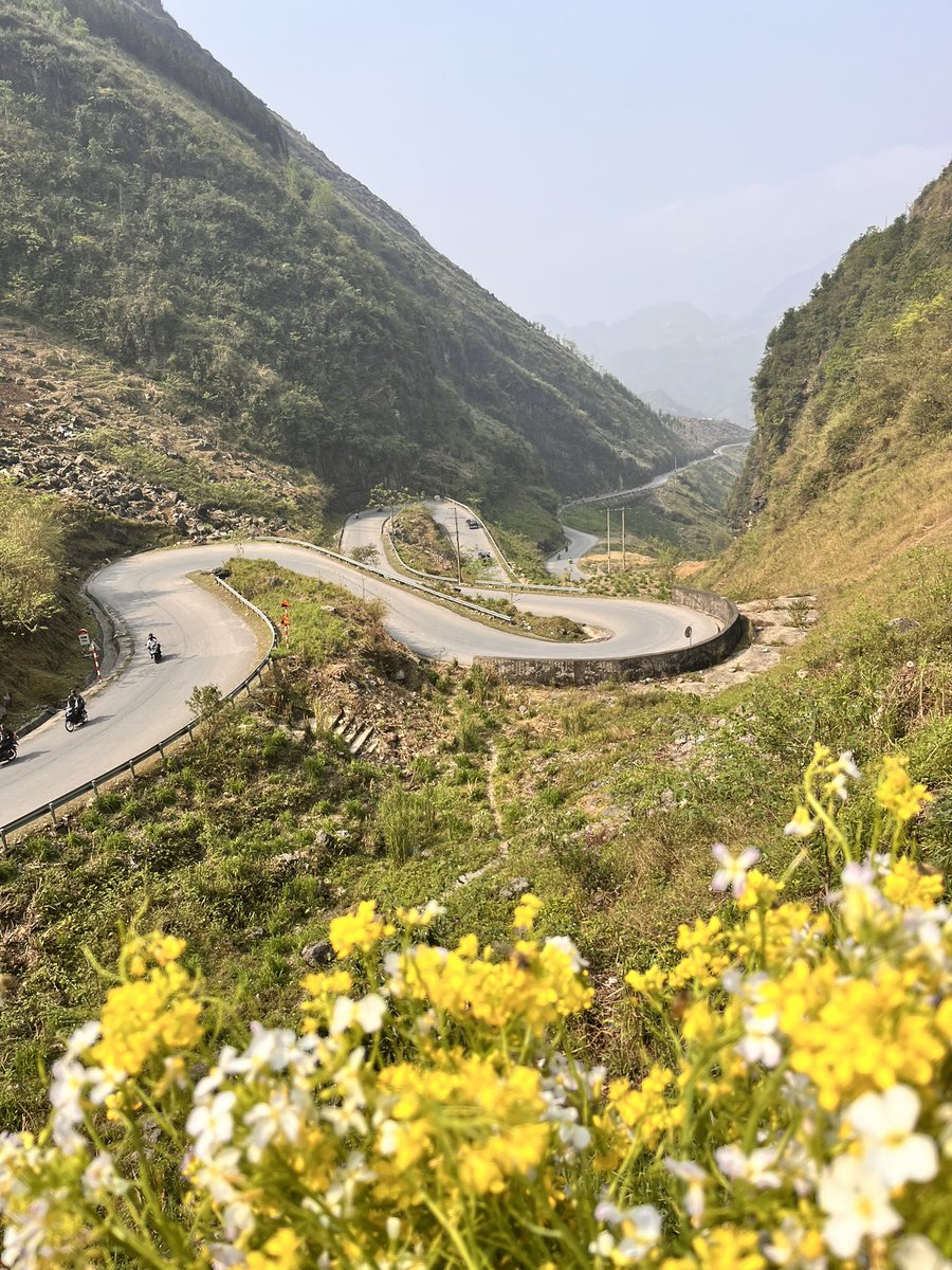 In my top 10 travel experiences! #HaGiangLoop North Vietnam 🇻🇳 360km, 3 days, stunning scenery. Can’t recommend enough!