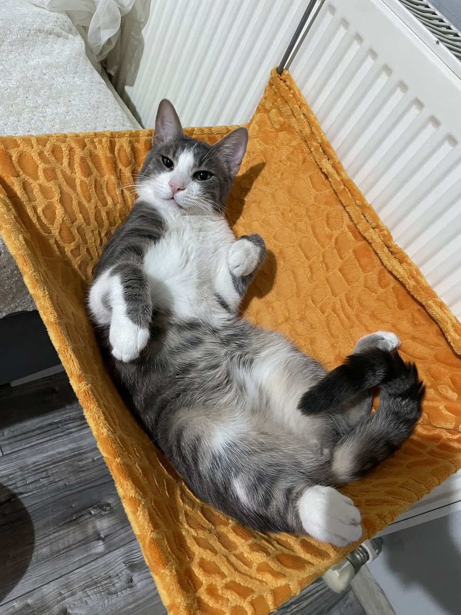 cerezfamilya's tweet image. Neydik / Ne olduk