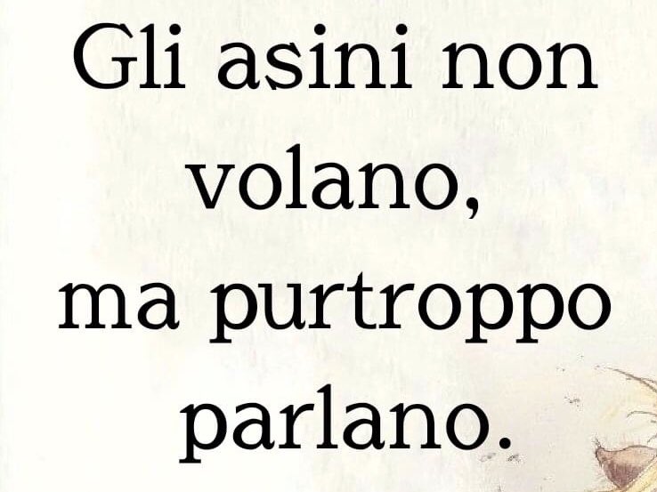 anna29723176's tweet image. #omnibusla7 #fusani #faraone #omnibus complimenti senza contraddittorio, le sparate a piacimento vostro.#la7 è da chiudere, e tutta la sua immondizia definitivamente