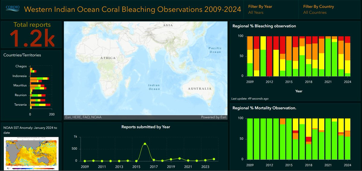 📢 WIO #CORALBLEACHING ALERT 📢 The latest bulletin for 2024 is out. Widespread bleaching reported in Kenya and Tanzania, but little mortality evident. Peak temperatures likely reached, portending reduced risk in the coming weeks. 🪸🪸🪸 Full report ➡️: cordioea.net/coral-reef-res…