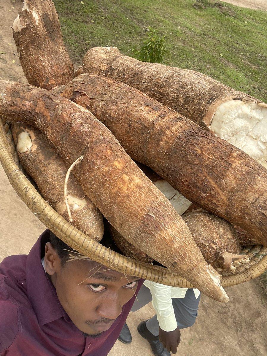 Characteristics of a hardworking village boyfriend, my sister if you find this one please bring him home to the parents, at least we shall educate him.