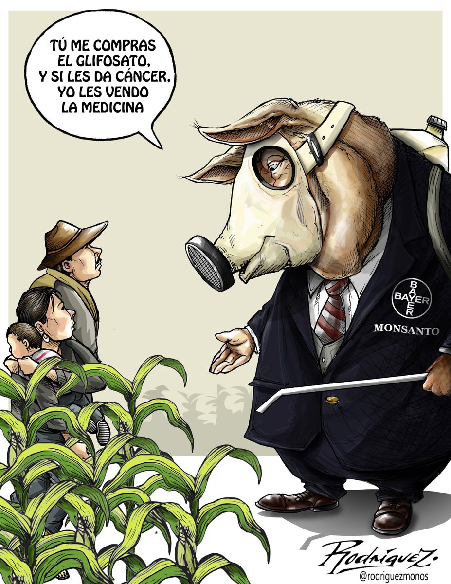 'Ni Maíz'
#MexicoSinGlifosato #SinMaízNoHayPaís #maíztransgénico #Salud #agrotóxicos #Monsanto #Bayer #glifosato #Agricultura  #soberaníaalimentaria #Semarnat