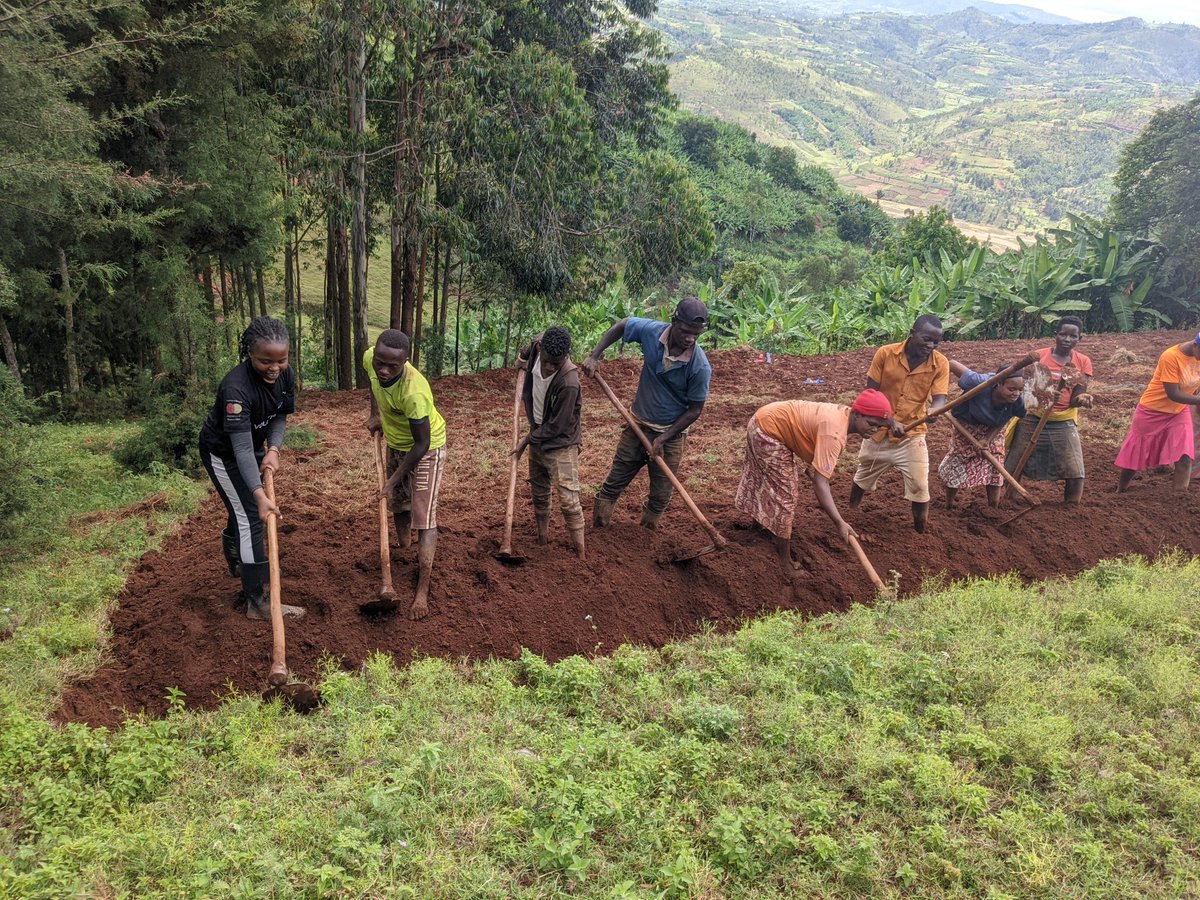 ABarubara's tweet photo. The youth members of the group TWITEZIMBERE Rwina   are preparing the place where they will implement the bee project supported by @CorpsAfricaRda where they will prepare the place where they will hunt the hives and the flowers that the bees will go to.@Nyamagabe @mwungeri https://t.co/mtWq6uHba3