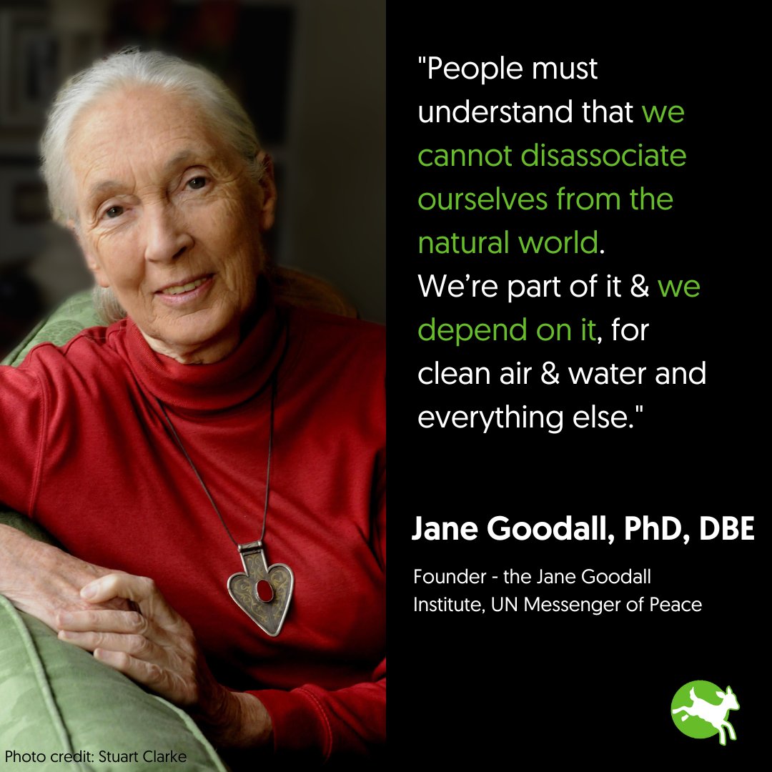Wishing a very happy 90th birthday to our incredible Patron Dr Jane Goodall! 

Every single year she inspires more and more people. A true champion for animals and our planet. 💚

@JaneGoodallUK #GoodAllDay