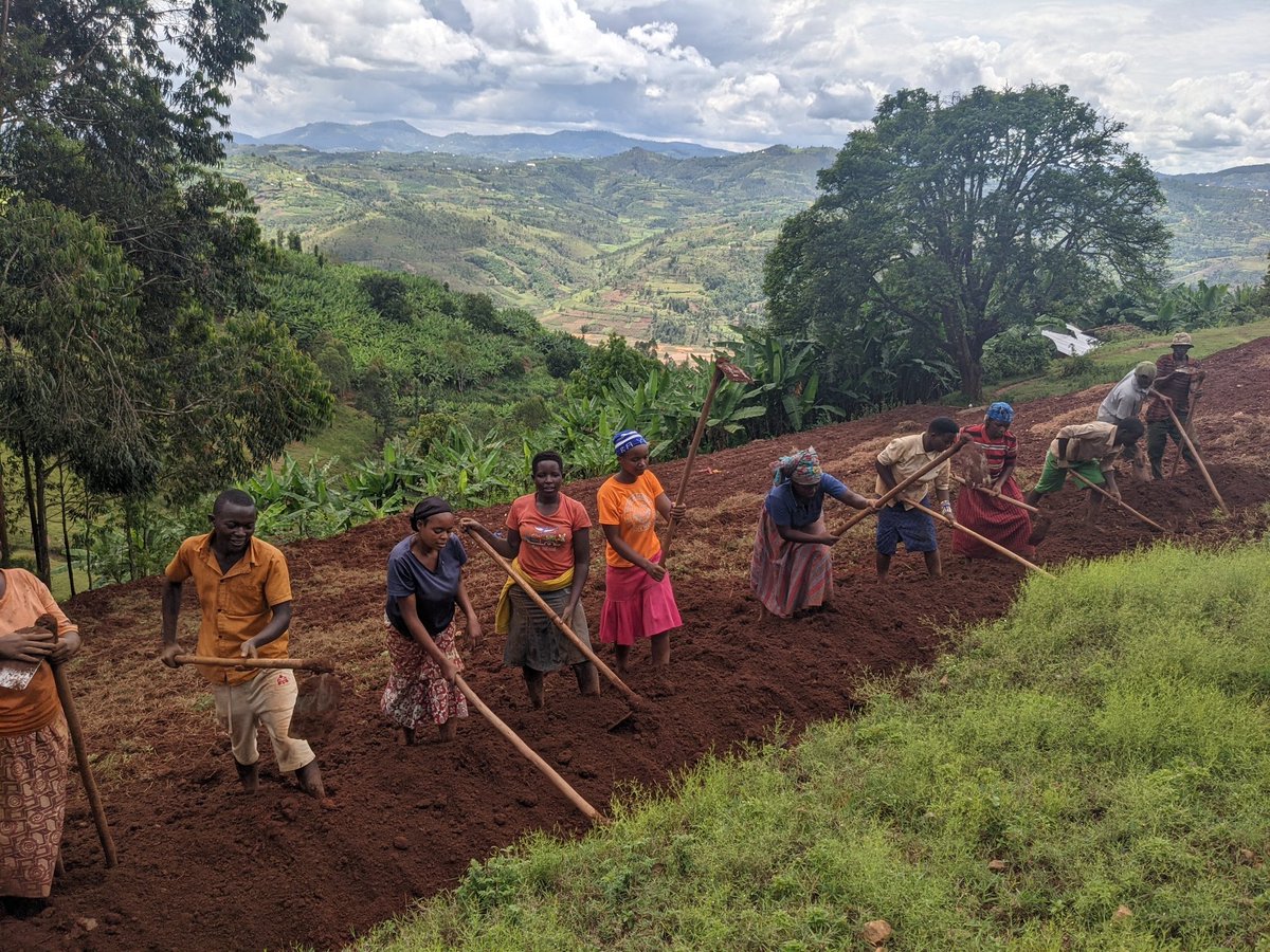 ABarubara's tweet photo. The youth members of the group TWITEZIMBERE Rwina   are preparing the place where they will implement the bee project supported by @CorpsAfricaRda where they will prepare the place where they will hunt the hives and the flowers that the bees will go to.@Nyamagabe @mwungeri https://t.co/mtWq6uHba3