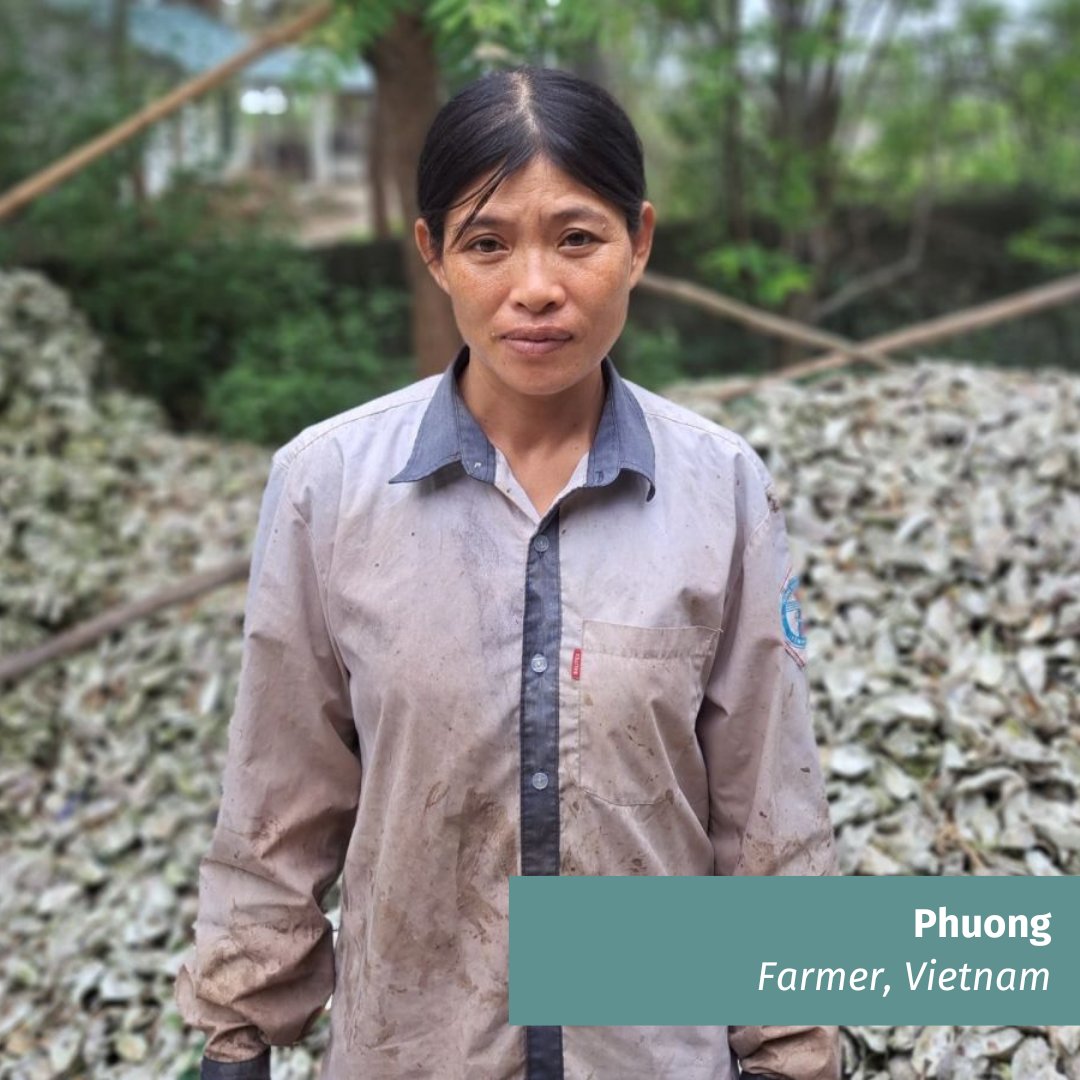 With the loan, Phuong expanded her aquaculture business, purchasing more oysters and fish. Within six months, she saw prosperous returns. Now, reinvesting wisely, she's prepping for the next farming cycle. Phuong extends her gratitude to lenders for their trust and support. 🐟