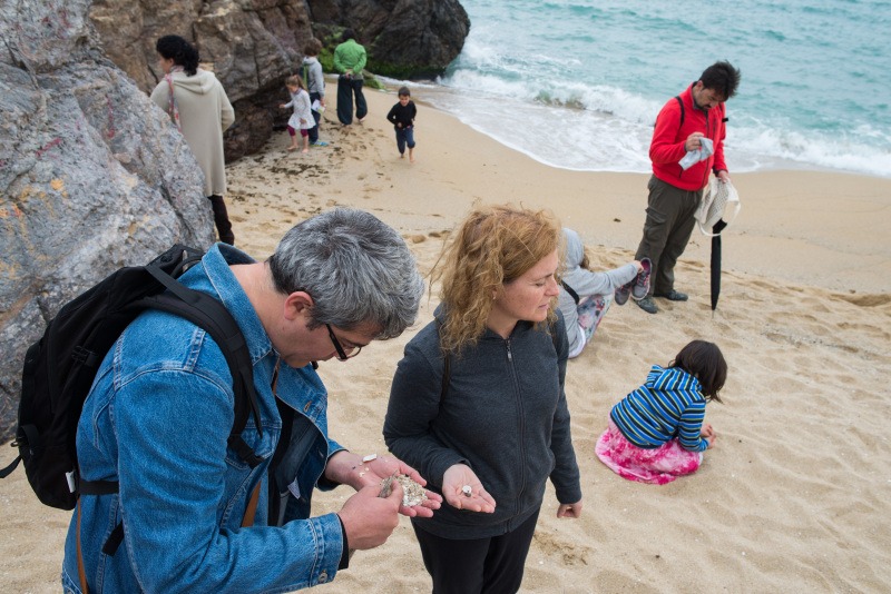 Aquest cap de setmana iniciem el Minicicle de #BioPlatgesMet! 🌊
El proper diumenge 7 d’abril tindrà lloc l’activitat “Regressió: salvem les platges metropolitanes” a la platja de les Roques a #Montgat d'11:30 a 13:30 h. 🌾