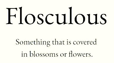 Cian McCarthy tweet media