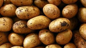 MoLAFWRD_Zim's tweet photo. There has been an increase  in the consumption of Irish potatoes and rice ,especially among youths .Consequently, a potato value -chain financing facility was introduced in 2021,following the declaration  of potato as a strategic food crop in 2021.
#AFSRTS https://t.co/KAUQCHdO37
