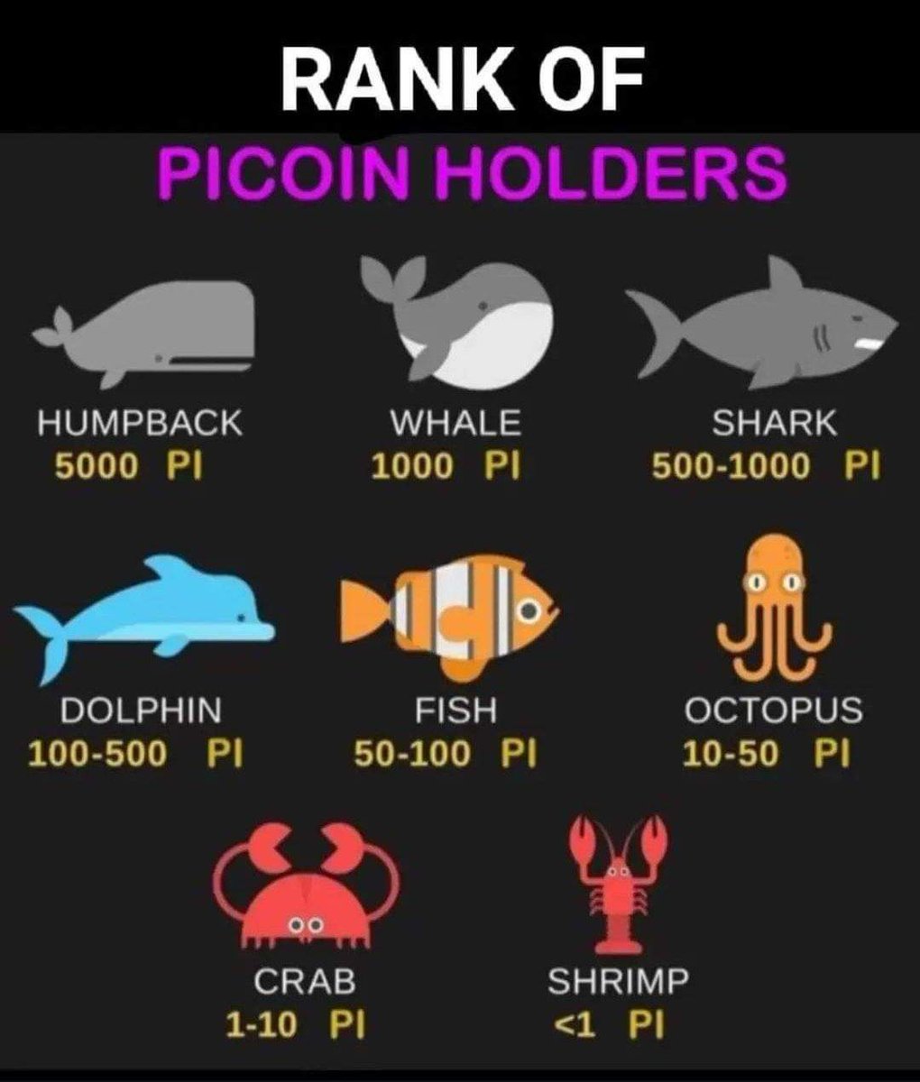 📢#Pioneers What rank are you? I'm a little shark 😱