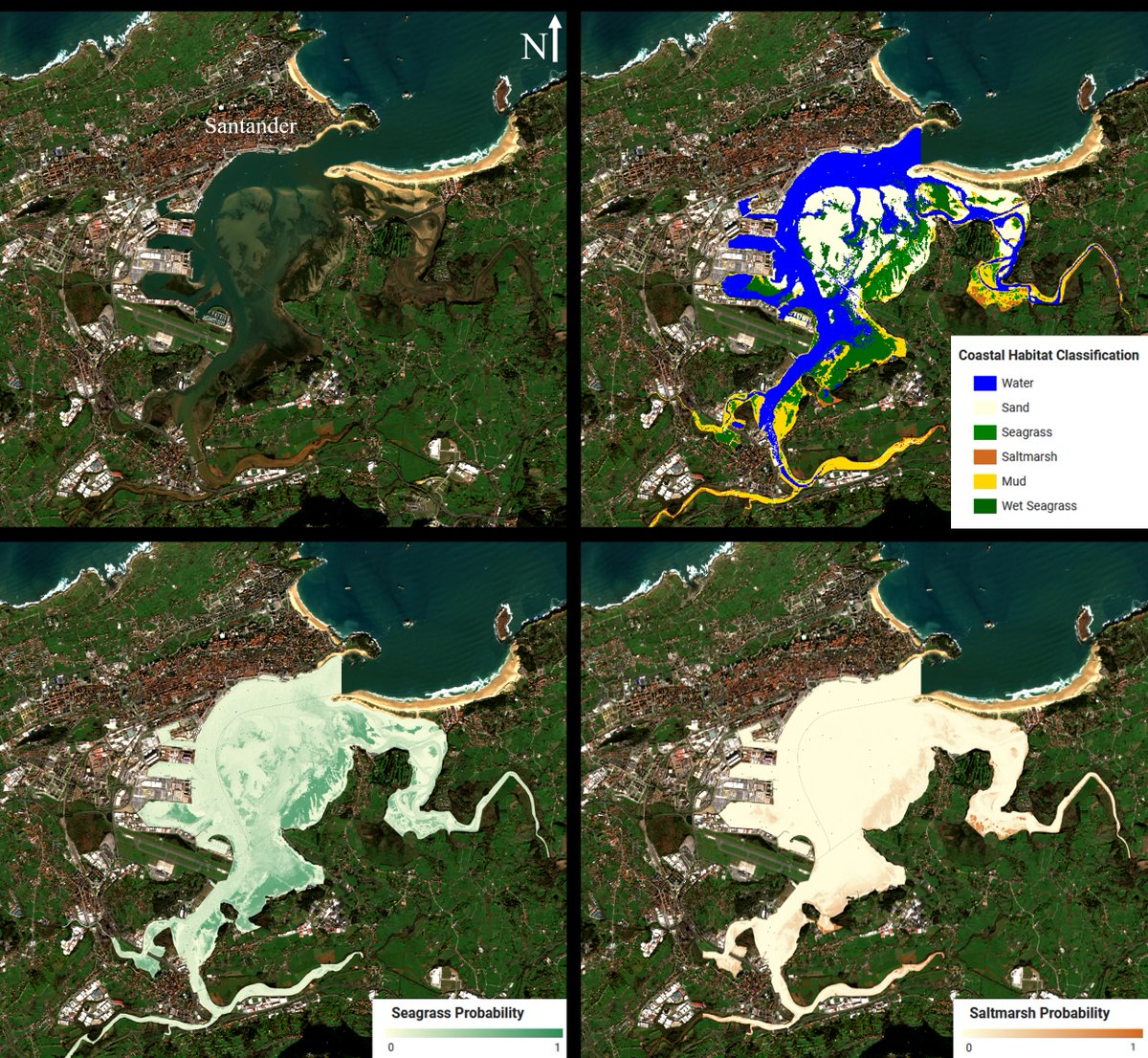 Harnessing the power of Earth Observation and Machine Learning to study Seagrass Ecosystem Services .Check out our results using Random Forest for: Coastal Habitat Classification and Seagrass-Saltmarsh Probability in #Santander Bay! 🗺️ #MarshAProject 👀👉marsha.ihcantabria.es