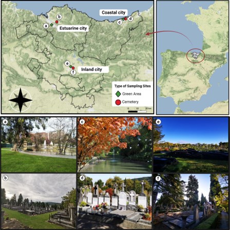 🦟➡️New paper out: ' Mosquitoes in urban green spaces and cemeteries in northern Spain A collaboration with the colleagues sof @neiker_BRTA Available at: parasitesandvectors.biomedcentral.com/articles/10.11…