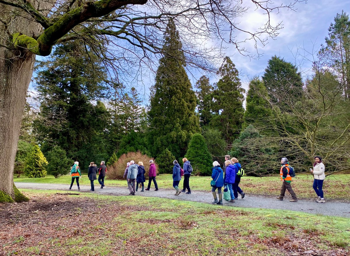 There’s no better way to spend #NationalWalkingDay than boosting your wellbeing with a walk at Bedgebury National Pinetum and Forest 🥾 Why not join the next @RamblersGB Wellbeing Walk on Wednesday 24 April at 10am? Sign up here 👉tinyurl.com/5dxm4zbc