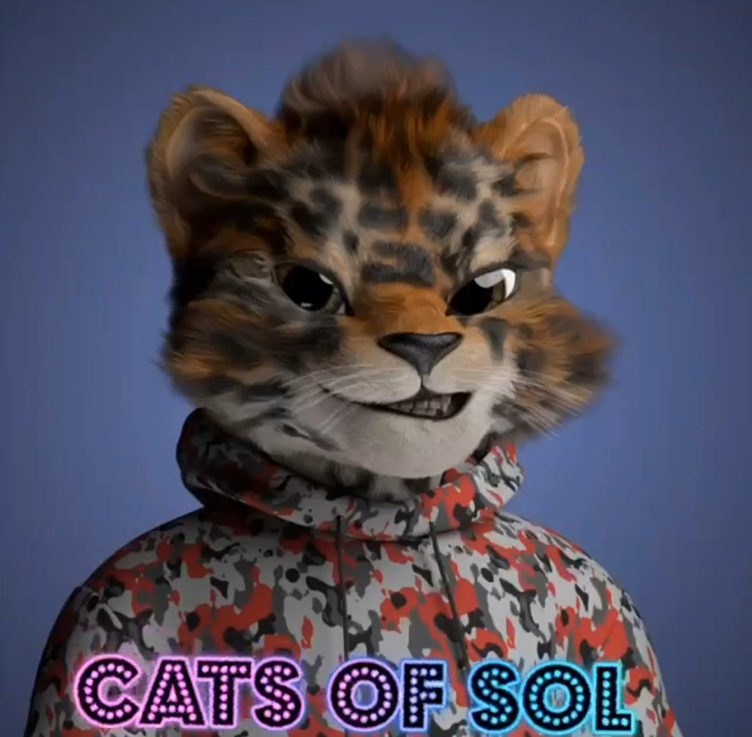 obsessed_crypto's tweet photo. @IAmCryptoWolfy $COS 

Cats of Sol the newest meme token and the sexiest cat on SOL space

@catsofsol https://t.co/ja7kU3pMkS