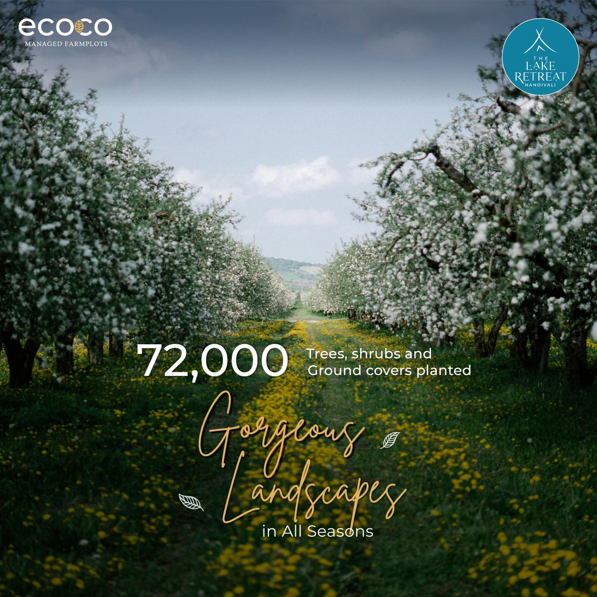 ecocofarmplots's tweet image. The Lake Retreat has the most mesmerising waterfalls and lakes in the monsoons, but it is breath-takingly beautiful all year around. We've planted a whopping 72,000 trees and shrubs to create magical landscapes for you in all seasons.
#Ecoco #EcocoManagedFarmplots #TheLakeRetreat