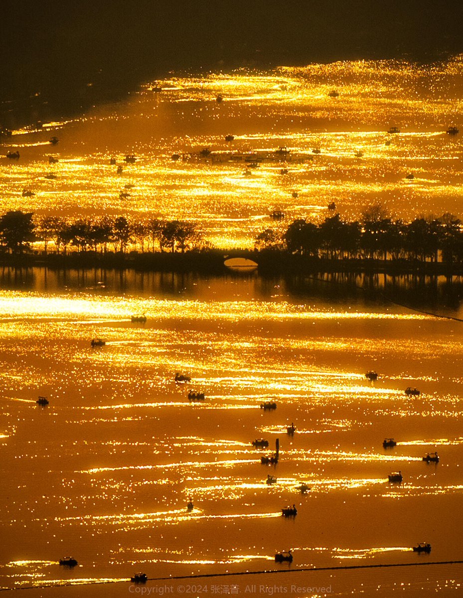 On the lake's surface, the boat shipped through, like the ripples in the golden sunshine. #EcoCityNanjing Location: Xuanwu Lake, Nanjing