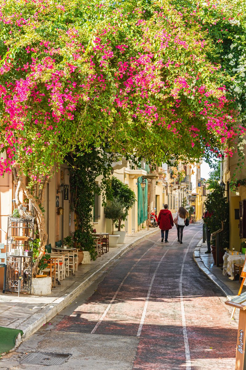 Athens is undoubtedly one of the most emblematic cities worldwide, where it’s history unfolds around the sacred rock of the Acropolis. Have you ever walked around its neighbourhoods?#VisitGreece visitgreece.gr/inspirations/n…