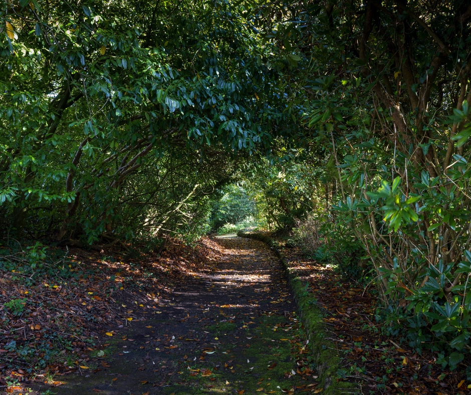 Today is National Walking Day! 🚶🏼‍♀️ At Northcote, we are surrounded by beautiful walks and trails with breathtaking views of North Devon. What's your favourite walk near us? #nationalwalkingday