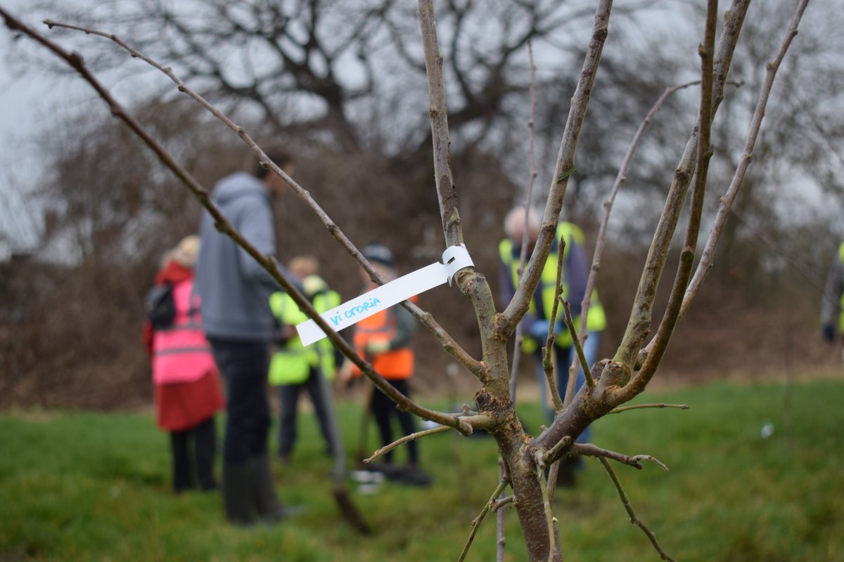Tree planting season is over! After our last planting days with volunteers from @Barclays and @WatesGroup last week we have planted a total of 11,038 trees this season and 21,370 trees since CAM started! 🌱 A huge thanks to all the volunteers who made this possible! 🌳