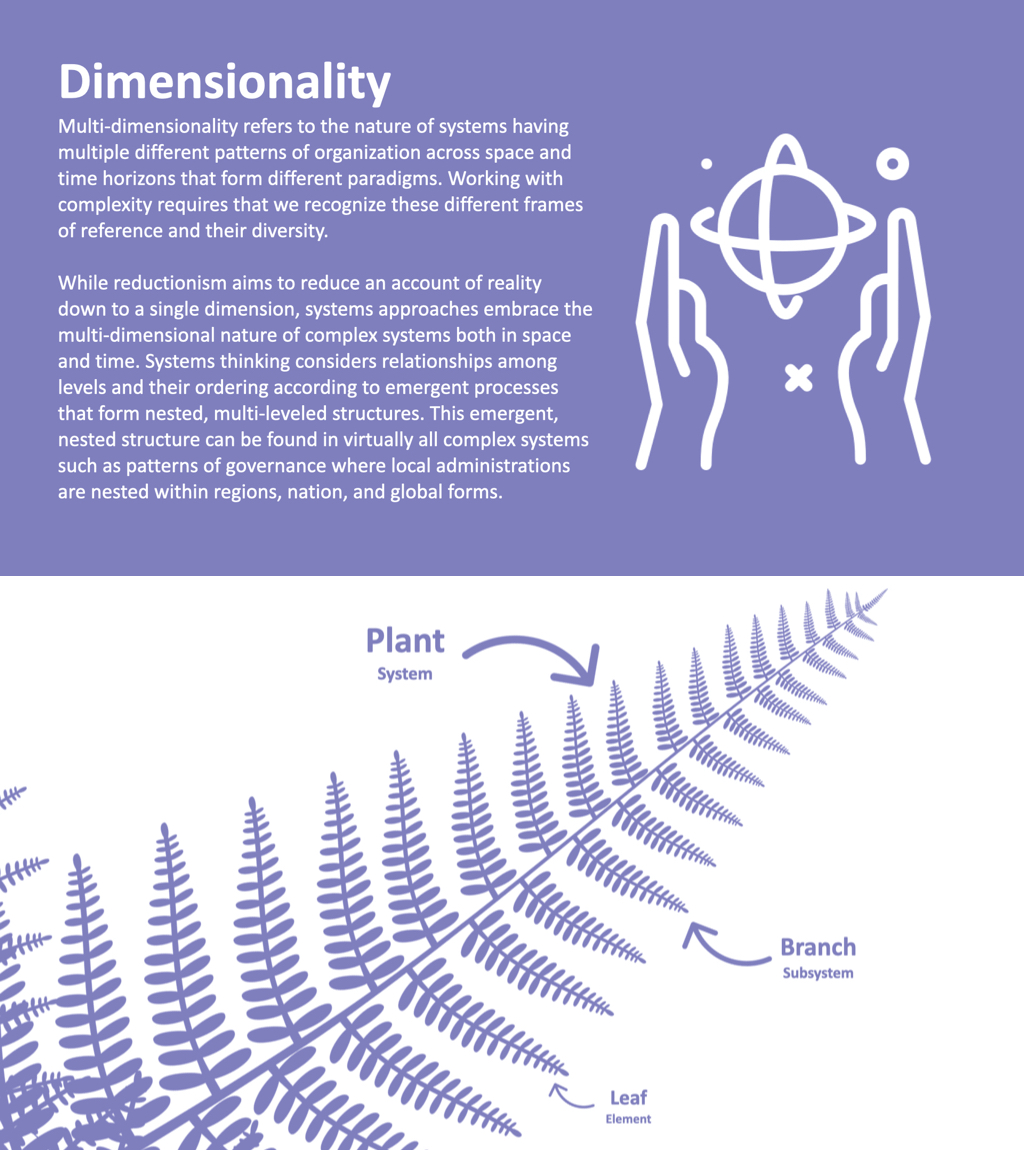 Complex systems have fractal structures that are self-similar across scales. Thinking across different scales of time and space is key to systems innovation Graphic from our Concept Cards: tinyurl.com/ynkxhjnr Learn about fractals with this course: tinyurl.com/29utddes