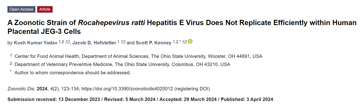 New publication: A Zoonotic Strain of Rocahepevirus ratti #HEV Hepatitis E Virus Does Not Replicate Efficiently within Human Placental JEG-3 Cells @OhioState