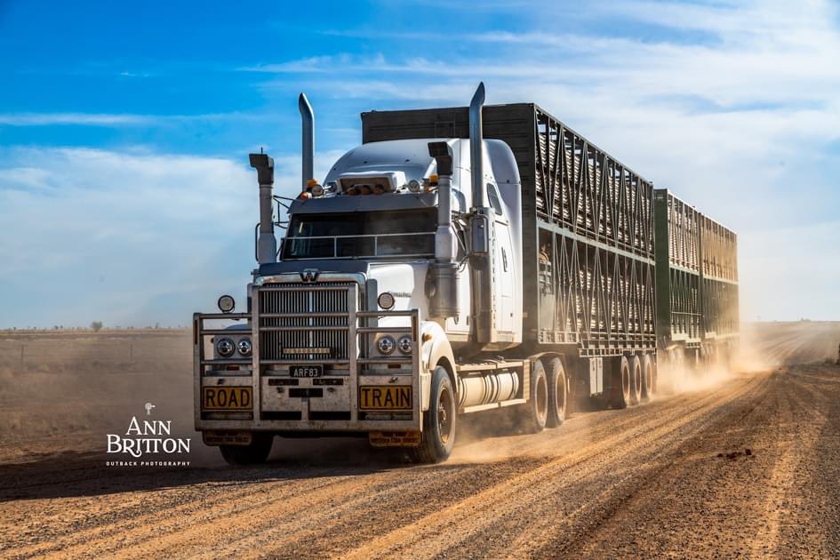 Outback cattle carters, moo movers, bovine buses …#Mack #WesternStar #OutbackQueensland #Boulia