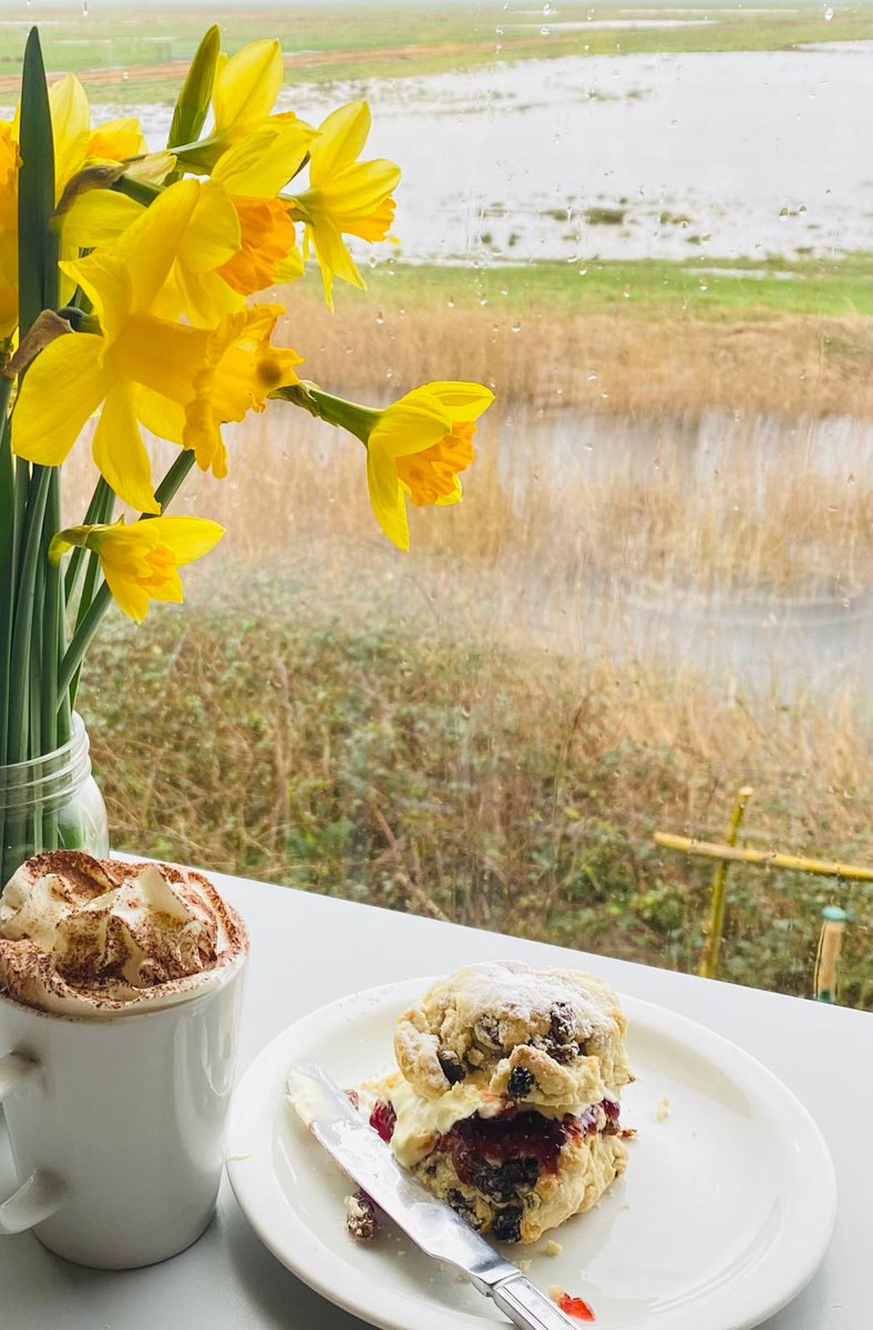 🌞 Wigeon Cafe open to all from 9am daily 🌞 9-10am Members early access to the reserve. Start your morning enjoying delicious food and drink with a wetland view, including our scones made on site. @nationaltrust send us your vegan scone recipe so we can add them too 😉