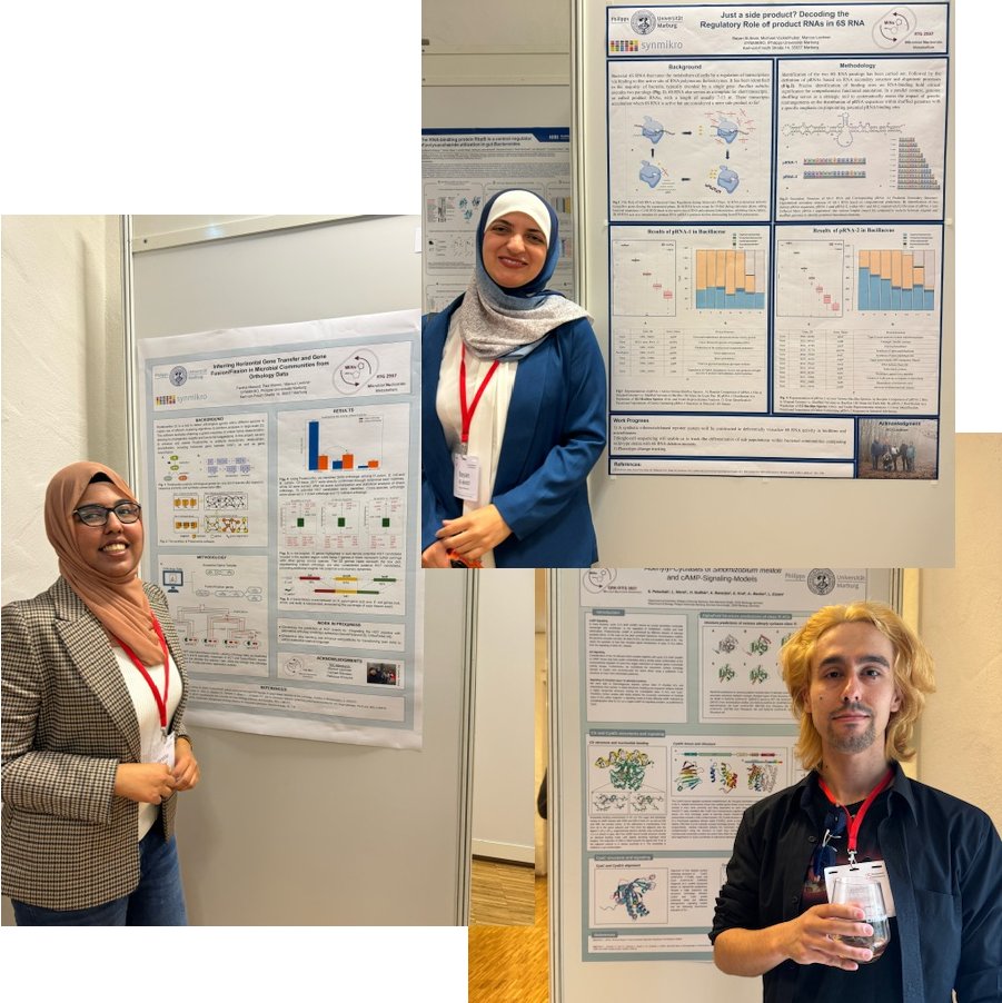@MiNuRTG2937 at the 75th Mosbacher Kolloquium - our doctoral researchers Bayan Al-Anati (top), Fareha Masood (left) and Stefan Petschak (right) were thrilled to join the poster session! @GBM_eV @SYNMIKRO