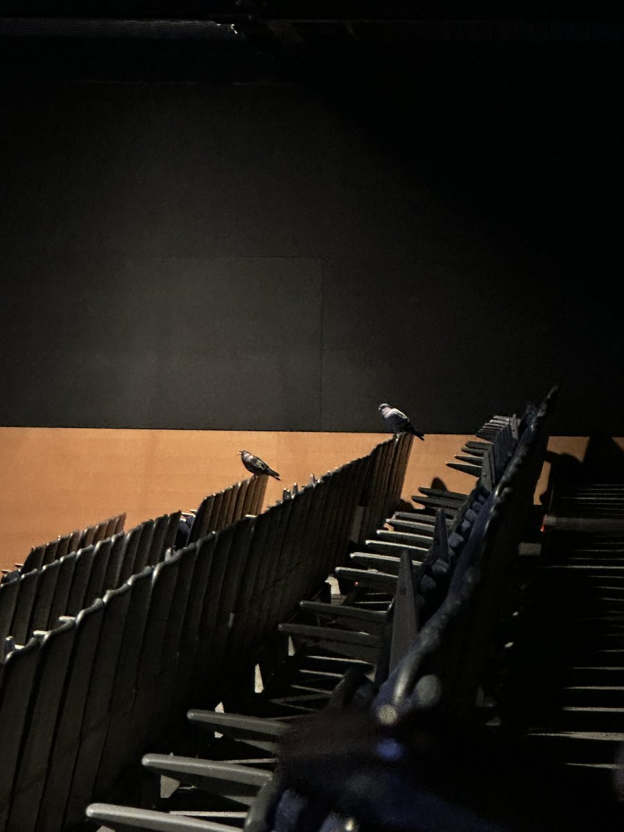 NEUnion Cambridgeshire tweet media