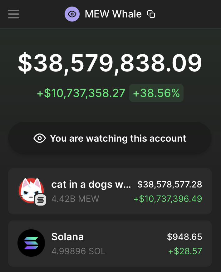 NEW: THE WALLET THAT PURCHASED 178.2 $SOL (~$35K) WORTH OF <a href="/solana/">Solana</a> MEMECOIN $MEW (<a href="/MewsWorld/">Mew</a>) ON LAUNCH DAY IS UP OVER $10M TODAY