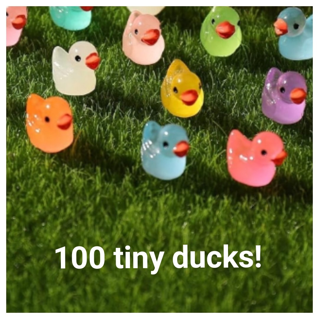 This morning me and @kittyredreads hid 100 tiny ducks around my parents' house. 🤣🤣🤣 It's taken them an hour to find them all. Xx #tinyducks #parentshouse #hidingducks