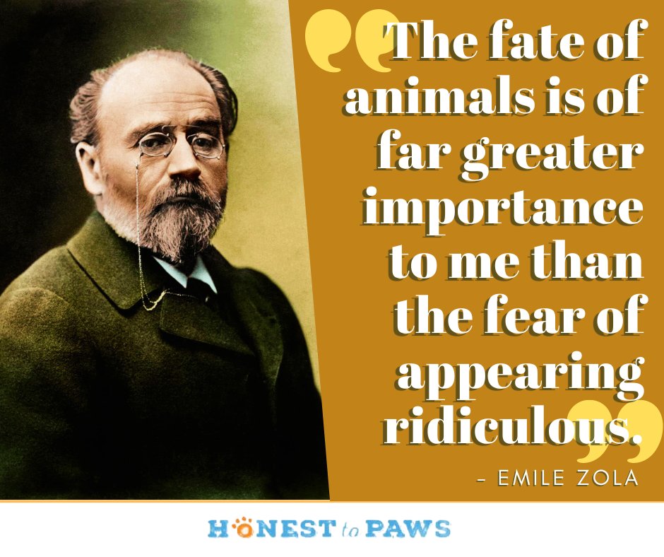 The fate of animals outweigh any fear of ridicule. Share your stories in the comments. Here's a rescue story that will tug your heart: tinyurl.com/mus35ntu