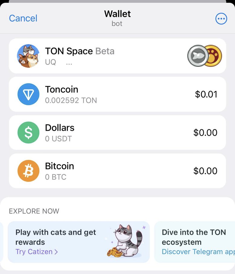 📣 wow I saw it! Catizen in @wallet_tg ! 😺 (Currently visible to English & Russian language meows!)