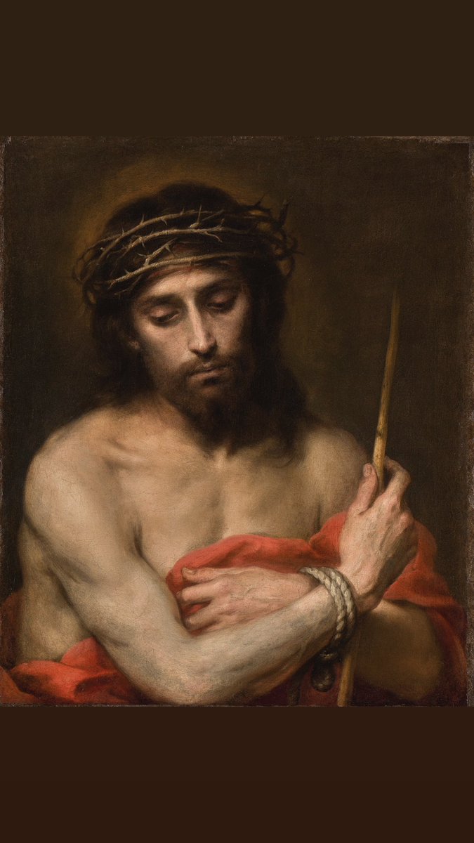 ✨Amparo Soler Domingo ✨𝒜.𝒮 tweet media