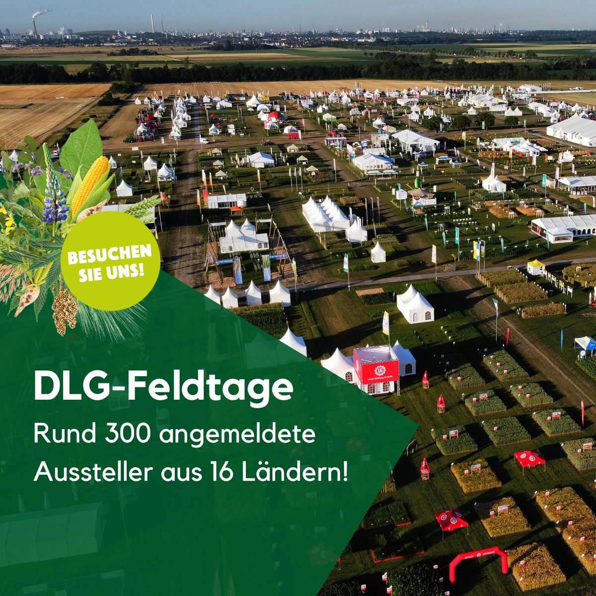 Rund 300 Aussteller aus 16 Ländern - das werden die DLG-#Feldtage 2024. Vom 11. bis 13. Juni präsentiert euch der Treffpunkt für Pflanzenbauprofis alles rund um #Pflanzenbau, #Pflanzenzüchtung, #Pflanzenschutz, #Düngung und #Landtechnikvorführungen: dlg.org/de/landwirtsch…