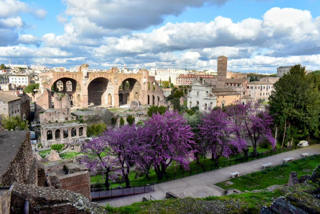 Hippo ◎ tweet media