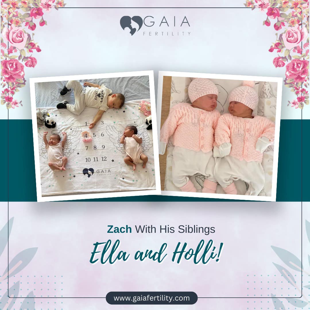 Gaia Fertility tweet media