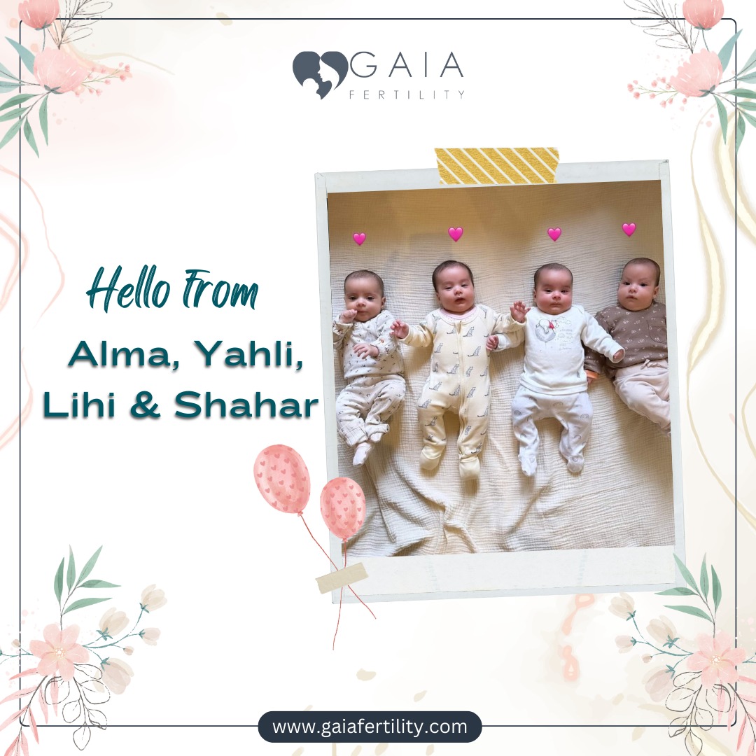 Gaia Fertility tweet media